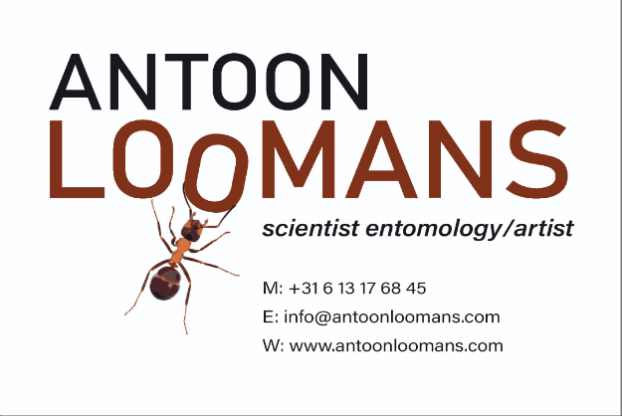 Antoon Loomans_Business card