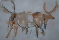Aquarel paintings Cows