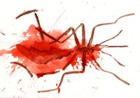 Swatted mosquito in eggtempera and carmine red watercolor