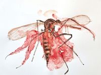 Swatted mosquito in eggtempera and carmine red watercolor