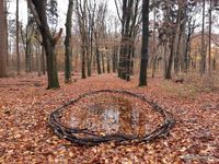 17b. Circles in the woods_November 2019_antoon loomans_20191127