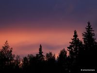 06. Sunset forest Sweden _antoon loomans_WADM