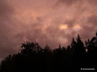07. Sunset forest Sweden _antoon loomans_WADM