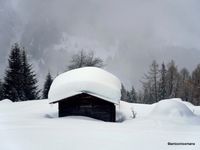2. Winter wonderland_Switzerland_antoon loomans_9330