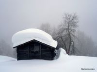3. Winter wonderland_Switzerland_antoon loomans_9327