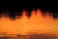 04. Orange Water antoon loomans