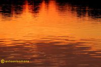 05. Orange Water antoon loomans