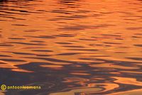 07. Orange Water antoon loomans