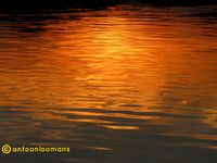 09. Orange Water antoon loomans
